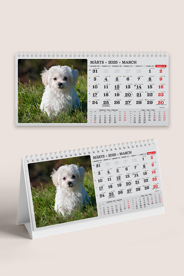 A55 ERI fotokalender oma piltidega lauale | Oma piltidega kalendrid A55 ERI fotokalender oma piltidega lauale - Image 13