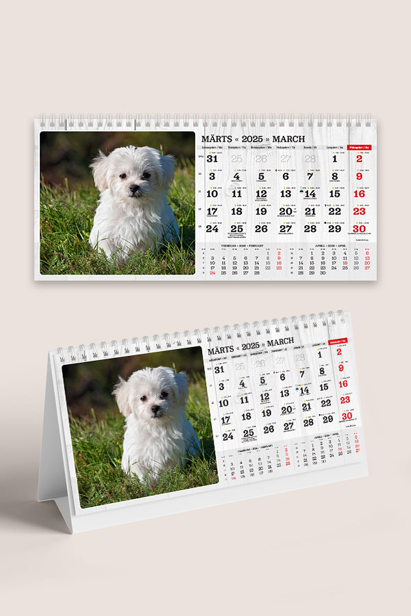 A55 ERI fotokalender oma piltidega lauale | Oma piltidega kalendrid A55 ERI fotokalender oma piltidega lauale - Image 12