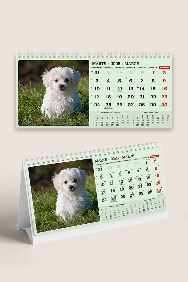 A55 ERI fotokalender oma piltidega lauale | Oma piltidega kalendrid A55 ERI fotokalender oma piltidega lauale - Image 11
