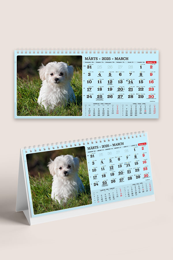 A55 ERI fotokalender oma piltidega lauale | Oma piltidega kalendrid A55 ERI fotokalender oma piltidega lauale - Image 10