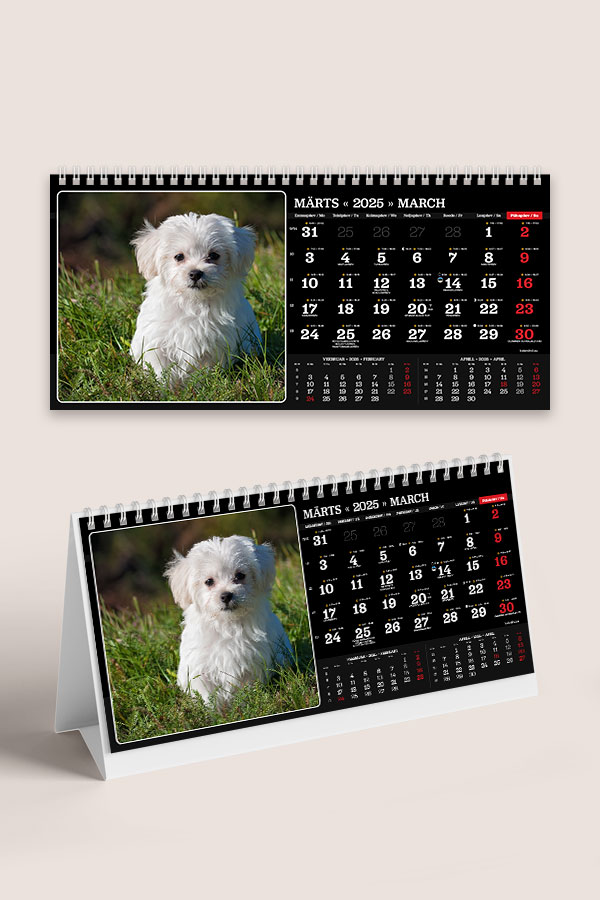 A55 ERI fotokalender oma piltidega lauale | Oma piltidega kalendrid A55 ERI fotokalender oma piltidega lauale - Image 7