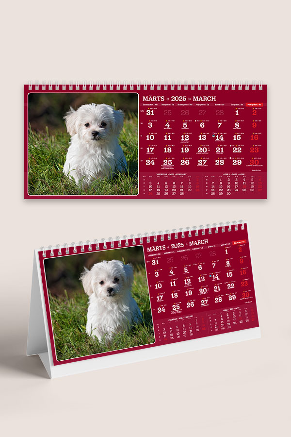 A55 ERI fotokalender oma piltidega lauale | Oma piltidega kalendrid A55 ERI fotokalender oma piltidega lauale - Image 6