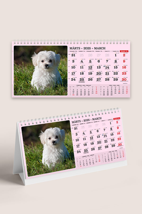 A55 ERI fotokalender oma piltidega lauale | Oma piltidega kalendrid A55 ERI fotokalender oma piltidega lauale - Image 5