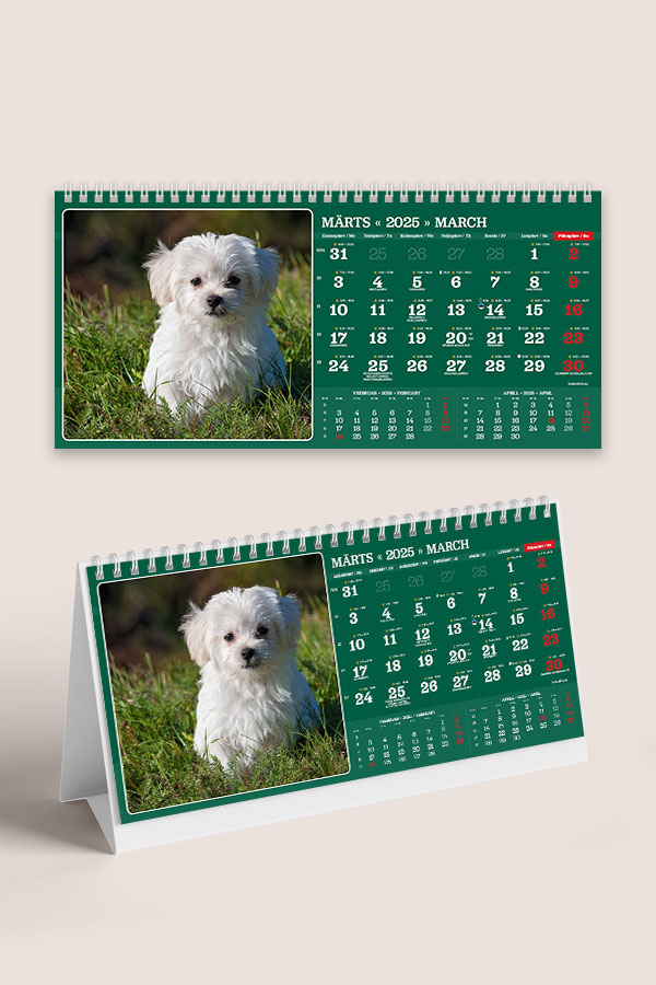 A55 ERI fotokalender oma piltidega lauale | Oma piltidega kalendrid A55 ERI fotokalender oma piltidega lauale - Image 3